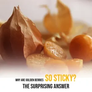 Why Are Golden Berries So Sticky The Surprising Answer