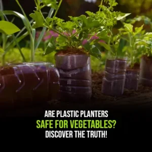Are Plastic Planters Safe for Vegetables Discover the Truth