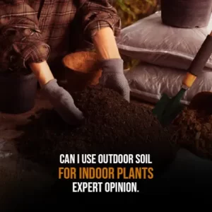 Can I Use Outdoor Soil for Indoor Plants Expert Opinion