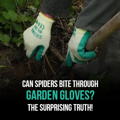 Can Spiders Bite Through Garden Gloves The Surprising Truth
