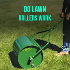 Do Lawn Rollers Work