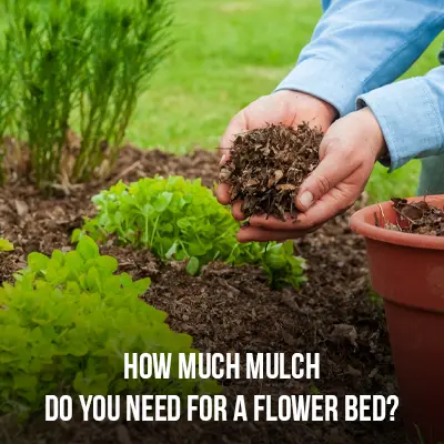 How Much Mulch Do You Need For A Flower Bed?