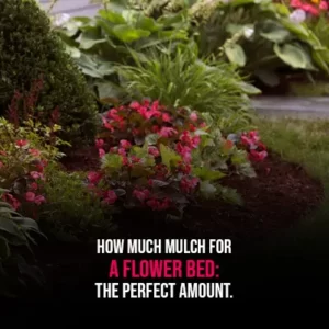 How Much Mulch for a Flower Bed The Perfect Amount