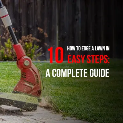 How to Edge a Lawn in 10 Easy Steps A Complete Guide