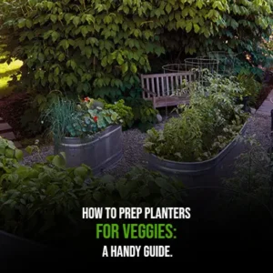 How to Prep Planters for Veggies A Handy Guide