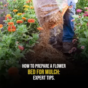 How to Prepare a Flower Bed for Mulch: Expert Tips.