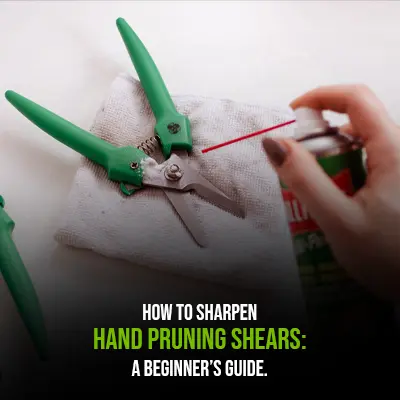 How to Sharpen Hand Pruning Shears A Beginners Guide