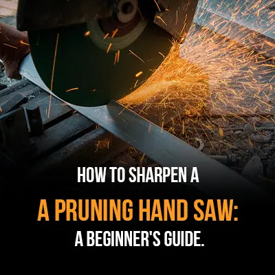 How to Sharpen a Pruning Hand Saw A Beginner's Guide