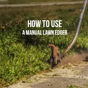 How to Use a Manual Lawn Edger
