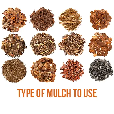 Type Of Mulch To Use