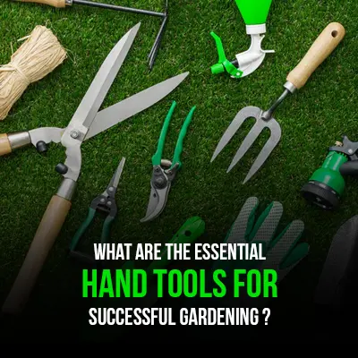 What are the Essential Hand Tools for Successful Gardening