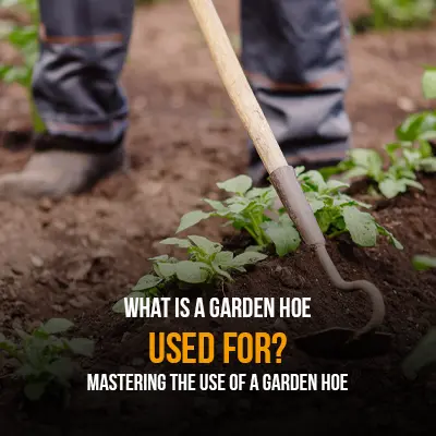 What is a garden hoe used for Mastering the Use of a Garden Hoe