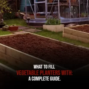 What to Fill Vegetable Planters With A Complete Guide