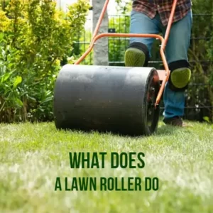 What Does a Lawn Roller Do