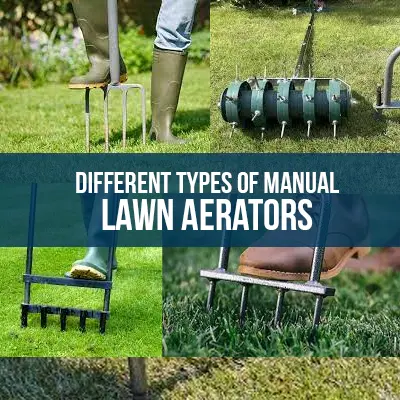 Different Types Of Manual Lawn Aerators