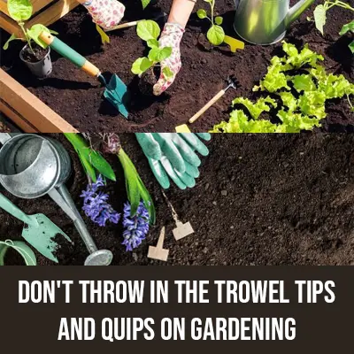 Don'T Throw in the Trowel Tips And Quips on Gardening