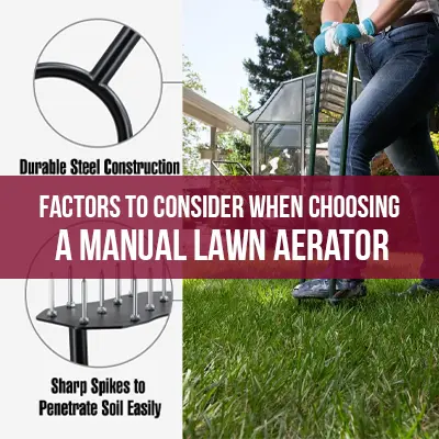 Factors To Consider When Choosing A Manual Lawn Aerator
