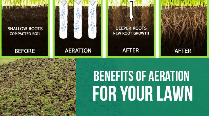 Benefits Of Aeration For Your Lawn