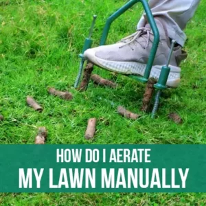 How Do I Aerate My Lawn Manually