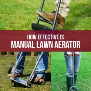 How Effective is Manual Lawn Aerator