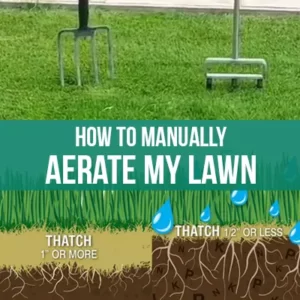 How to Manually Aerate My Lawn