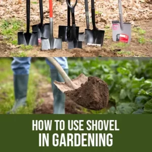 How to Use Shovel in Gardening