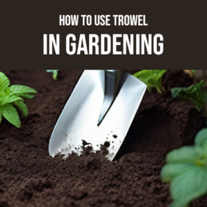 How to Use Trowel in Gardening