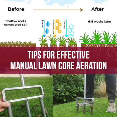 Tips For Effective Manual Lawn Core Aeration