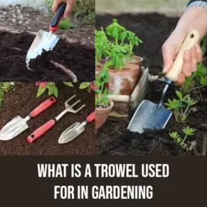 What is a Trowel Used for in Gardening