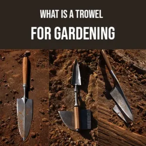 What is a Trowel for Gardening