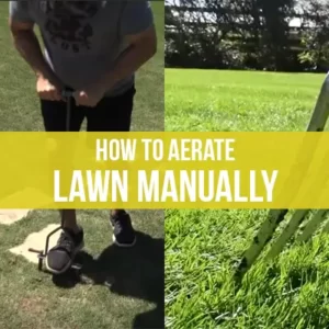 How to Aerate Lawn Manually