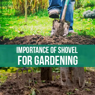 Importance Of Shovel For Gardening