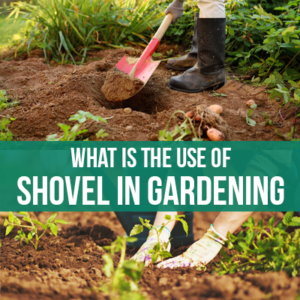 What is the Use of Shovel in Gardening