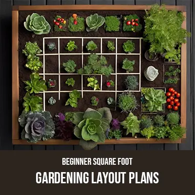 Beginner Square Foot Gardening Layout Plans