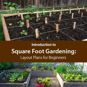 Introduction to Square Foot Gardening_ Layout Plans for Beginners